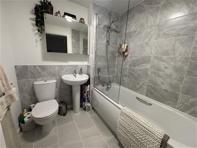 Picture 12